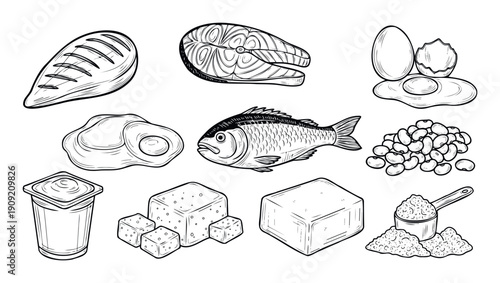 Collection of various high protein food sources including chicken, fish, eggs, beans, yogurt, cheese, tofu, and protein powder for nutrition and healthy lifestyle promotions.