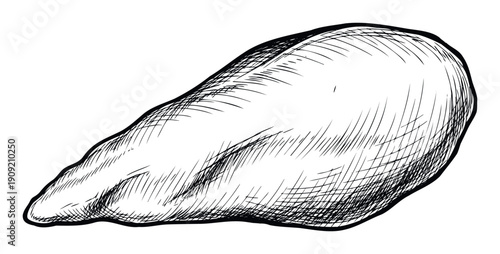 Handdrawn monochrome ink sketch of an irregular organic food shape resembling a chicken breast, ideal for culinary publications, cooking websites, and menu graphics