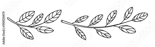 Stylized black line drawing of botanical branches with leaves ideal for natural themed graphic projects eco friendly branding and simple decorative applications