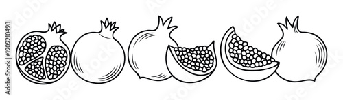 A collection of fresh organic pomegranate fruit line drawings depicting whole and cut variations, ideal for food packaging, natural product labels, or healthy eating promotions.