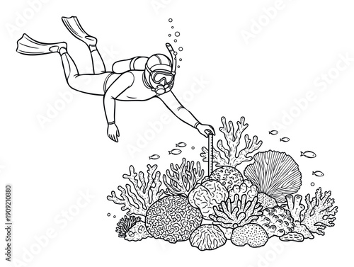 Underwater researcher in scuba gear measures a diverse coral reef with a ruler, illustrating marine biology study and ocean conservation for educational content or environmental awareness