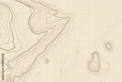 Abstract Light Topographic Map with Golden Contour Lines