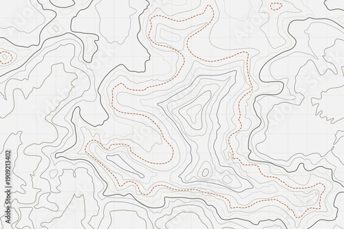 Minimalist White Topographic Map Line Art Vector Texture
