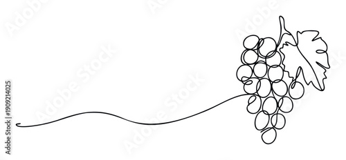 Minimalist continuous line drawing of a ripe grape cluster with a leaf, perfect for vineyard branding, wine menu graphics, or healthy food product packaging