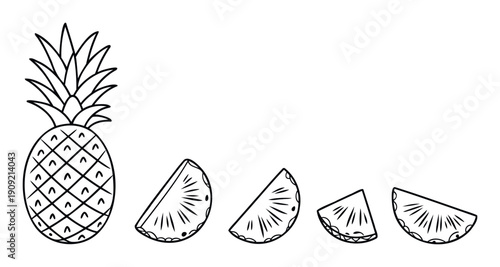 Explore this hand drawn monochrome pineapple fruit and its delicious slices perfect for summer menus culinary education tropical food blogging and healthy eating promotions