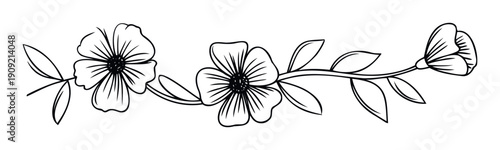 Simple black line drawing of a blooming floral branch with multiple open flowers and buds suitable for classic stationery packaging and craft designs