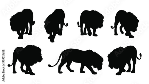 Eight different silhouettes of lions in various poses and positions. isolated on white background, Vector