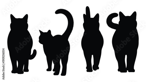 Four cats in different positions with tails raised, showcasing their unique postures. isolated on white background, Vector