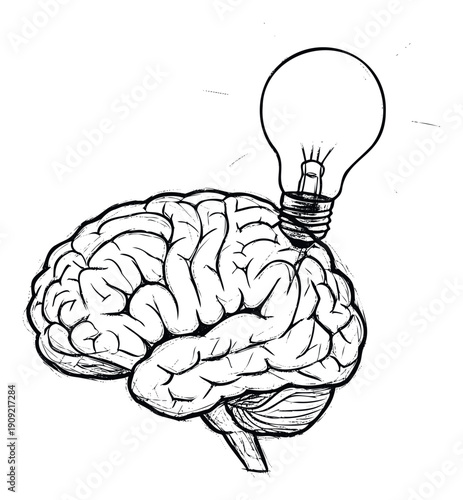 Detailed human brain with a bright light bulb screwed into its top representing the spark of new ideas, problemsolving, and insightful thinking for educational or business presentations