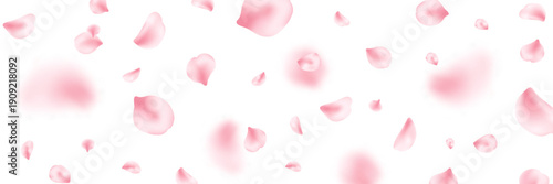 Japan flower banner. Spring cherry blossom frame. Sakura petal flying composition. Cosmetic beauty product. Natural decoration. Spa pink rose bg. Valentine romantic card. Vector illustration