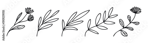 Set of simple black outline floral elements featuring delicate leaves and flowers perfect for contemporary branding, packaging, or textile prints