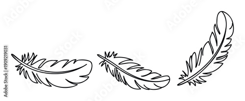 Graceful outline drawings of natural feathers symbolizing lightness and elegance, excellent for use in peaceful imagery, spiritual concepts, or whimsical event decorations