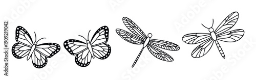Stylized insect outlines featuring graceful butterflies and elegant dragonflies, perfect for nature themed designs, coloring pages, or decorative graphic applications.