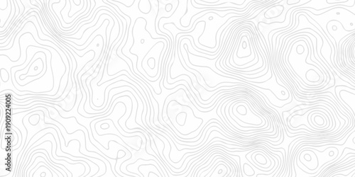 Contour abstract map relief land outline. Topographic map patterns. White wave paper curved reliefs abstract background. Background of the topography map. Abstract pattern with lines.