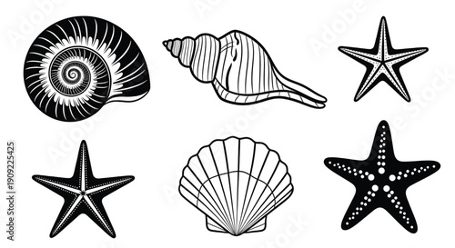 Seashells and starfish set with black and white illustrations, ocean-themed elements, marine life featuring clipart, vector graphics, sea creatures with nautical and beach elements for coastal,