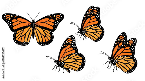 Foto Four monarch butterflies flying together in a close formation viewed from direct