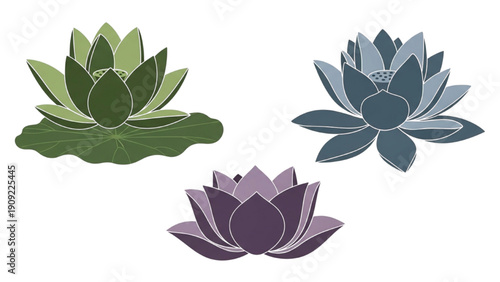 Serene water lilies floating on calm water surface illustration