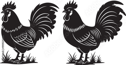 Two roosters silhouette on white background design