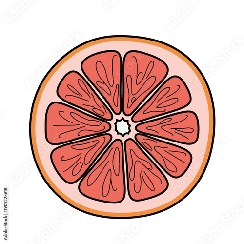 Circular slice of grapefruit with pink pulp and orange rind. Isolated transparent background ( include cut-out PNG file )