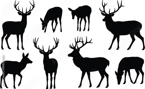 Black deer and elk silhouette collection with various stag buck and doe poses featuring wild forest animals and woodland nature elements for hunting and wildlife designs