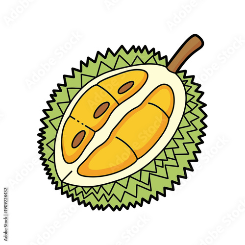 Spiky green durian fruit cut open with yellow pulp and seeds. Isolated transparent background ( include cut-out PNG file )
