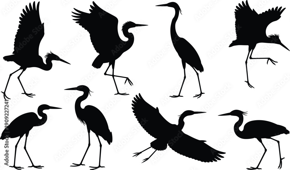 Obraz premium Black heron silhouette collection featuring elegant crane birds in flight wading and standing poses for wildlife nature designs wetland graphics and decorative avian vector illustrations