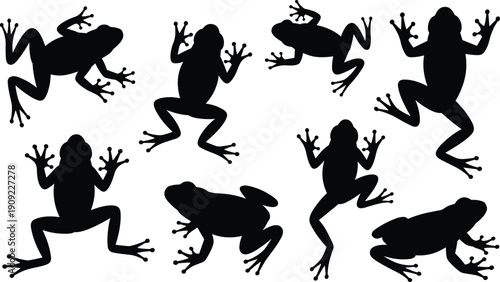 Black frog silhouette collection with jumping sitting and swimming toad shapes tropical tree frog icons for wildlife nature designs pond life and amphibian vector graphics