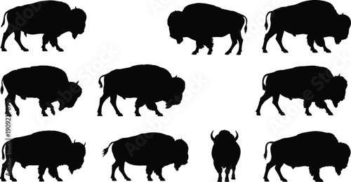 Bison silhouettes set, wild buffalo poses, black bison shapes, wildlife mammal vector illustration isolated on white background