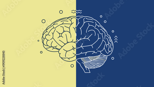 Diagram of human brain halves for left and right hemisphere functions logic and creativity concepts in medical science.