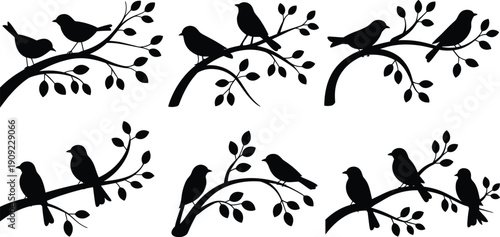 Black silhouette vector set of various small songbirds perched on leafy tree branches isolated on white background for nature spring and wall decor design