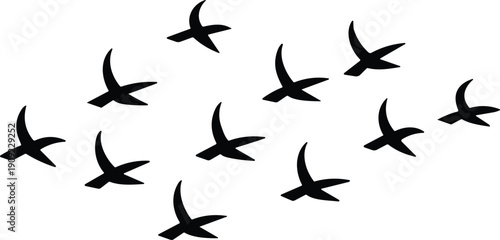Flying bird silhouettes flock, minimal avian shapes, black birds in motion, wildlife vector illustration isolated on white background