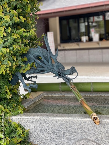 神社の御手水の龍の像