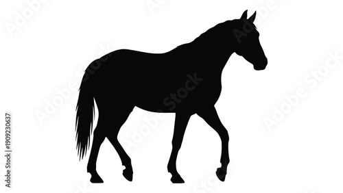 Silhouette of a horse in motion against a white background isolated on white background, Vector