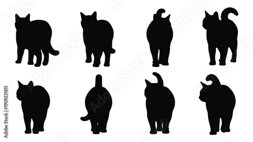 Diverse silhouettes of cats showcasing various poses and tail positions isolated on white background, Vector