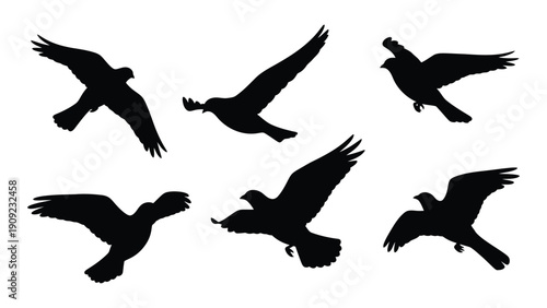A group of seven black silhouettes of birds in various flight positions. isolated on white background, Vector