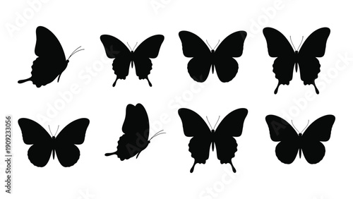 A collection of eight black silhouette butterflies in various poses and positions isolated on white background, Vector