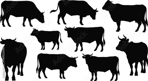 Black cow and bull silhouettes collection, farm cattle livestock animals set, rural agriculture icons isolated on white background vector illustration design elements clipart