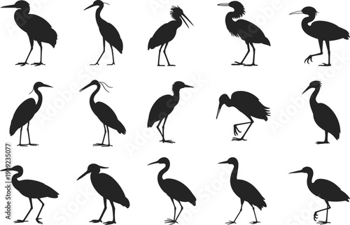 Black silhouette illustrations of fifteen herons and wading birds in diverse poses, isolated vector animal shapes for ornithology graphics, nature design projects, and educational materials
