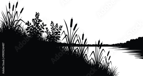 Serene landscape of cattails by a body of water