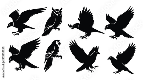 A group of black silhouettes of birds in various flight and perching positions. isolated on white background, Vector