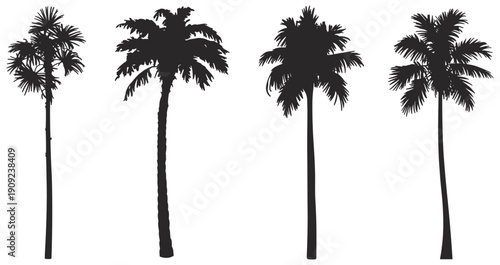 "Black musical instrument silhouettes collection including electric and acoustic guitars drums piano saxophone trumpet and violin isolated on white background for creative design projects" (25 words)