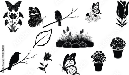 Collection of black and white illustrations of flowers butterflies and birds