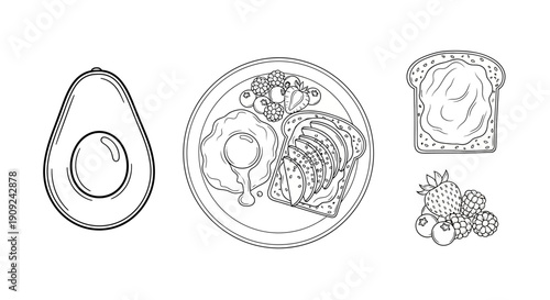 Healthy Breakfast Set: Avocado, Fried Egg, Toast, and Berries - Line Art Illustration
