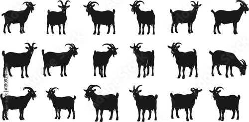 Goat, Silhouettes, Farm, Animal, Livestock, Agriculture, Horns, Mammal, Rural, Collection, Black, Isolated, Illustration, Domestic, Husbandry, Farming, Fauna, Set, Graphic, Design
