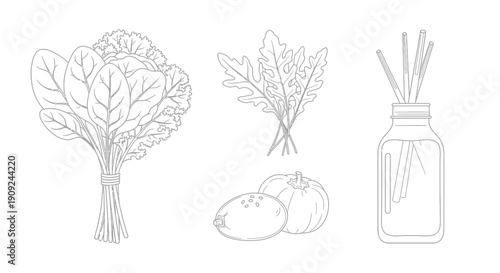 Fresh Produce and Aromatherapy Elements Outline Illustration