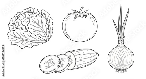 Fresh Vegetables Line Drawing: Cabbage, Tomato, Cucumber, Onion - Healthy Food Illustration