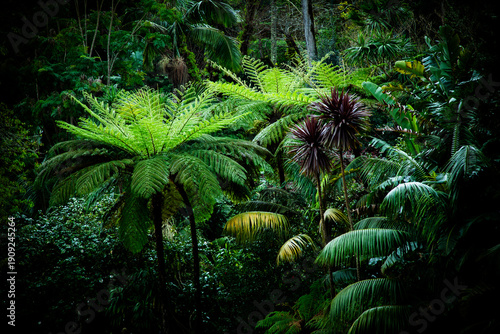 Wallpaper Mural lush green background of tropical plants Torontodigital.ca