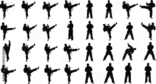 Karate, Martial, Arts, Silhouettes, Fighters, Kick, Poses, Combat, Training, Taekwondo, Action, Self, Defense, Sport, Movement, Strength, Black, Isolated, Collection, Illustration