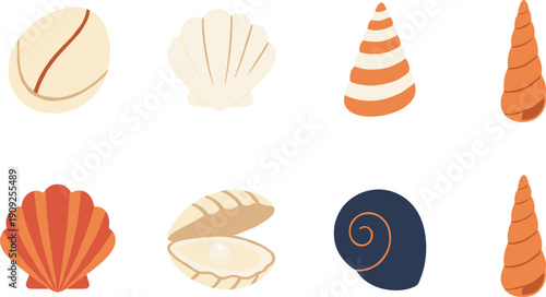 Sea Shell Vector Illustration Set with Scallop Shell Pearl in Oyster Conch Snail Shell and Spiral Sea Shell Collection