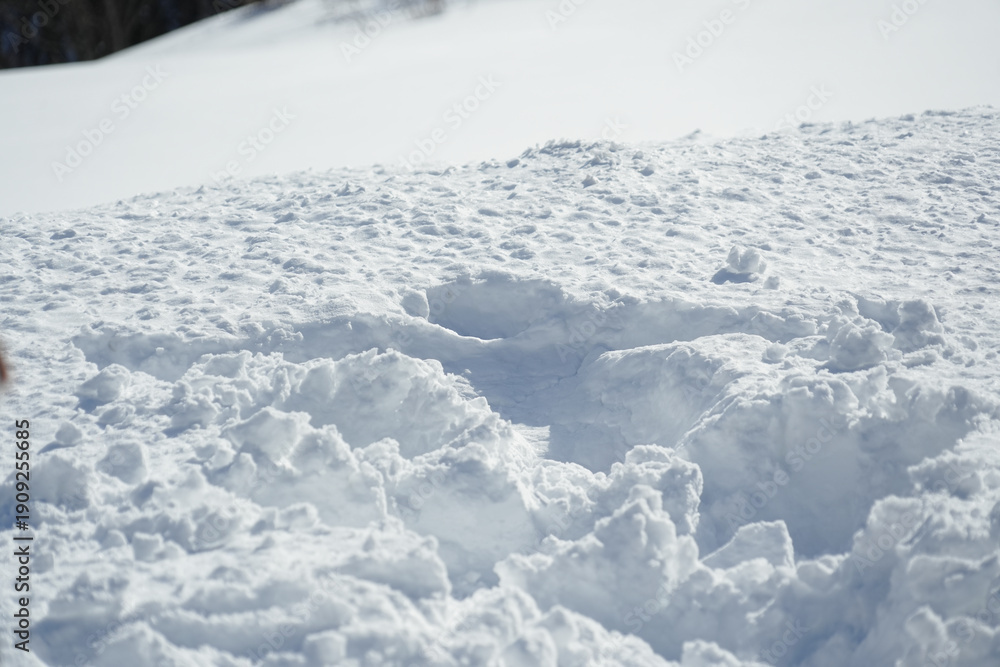 Obraz premium 群馬県_谷川岳インフォメーションセンター